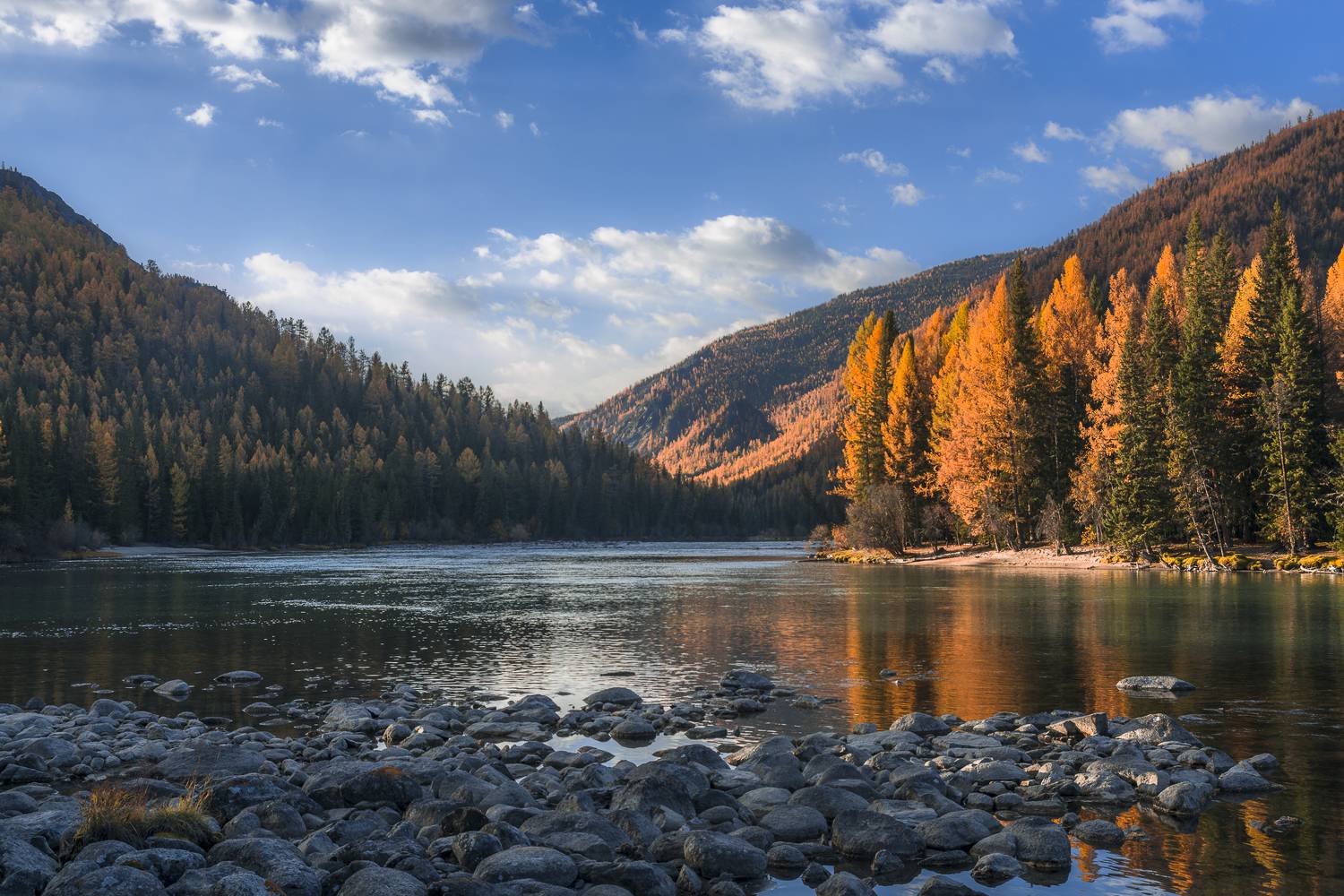 россия, горный алтай, река, осень, утро, Андрей Поляков