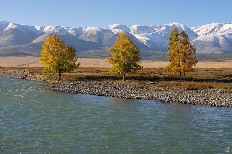 алтай Река Чуя фото превью