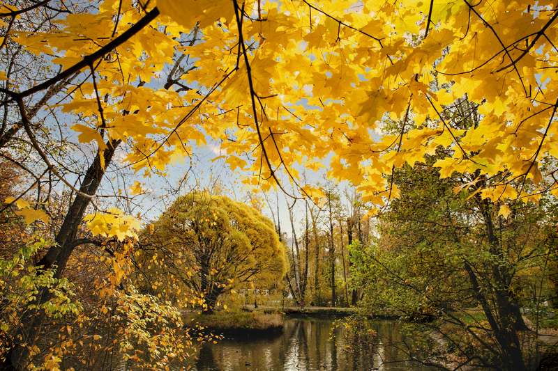 Осень,осень фото превью