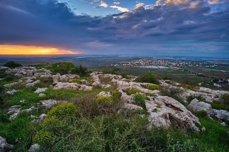 Samaria-Shomron фото превью