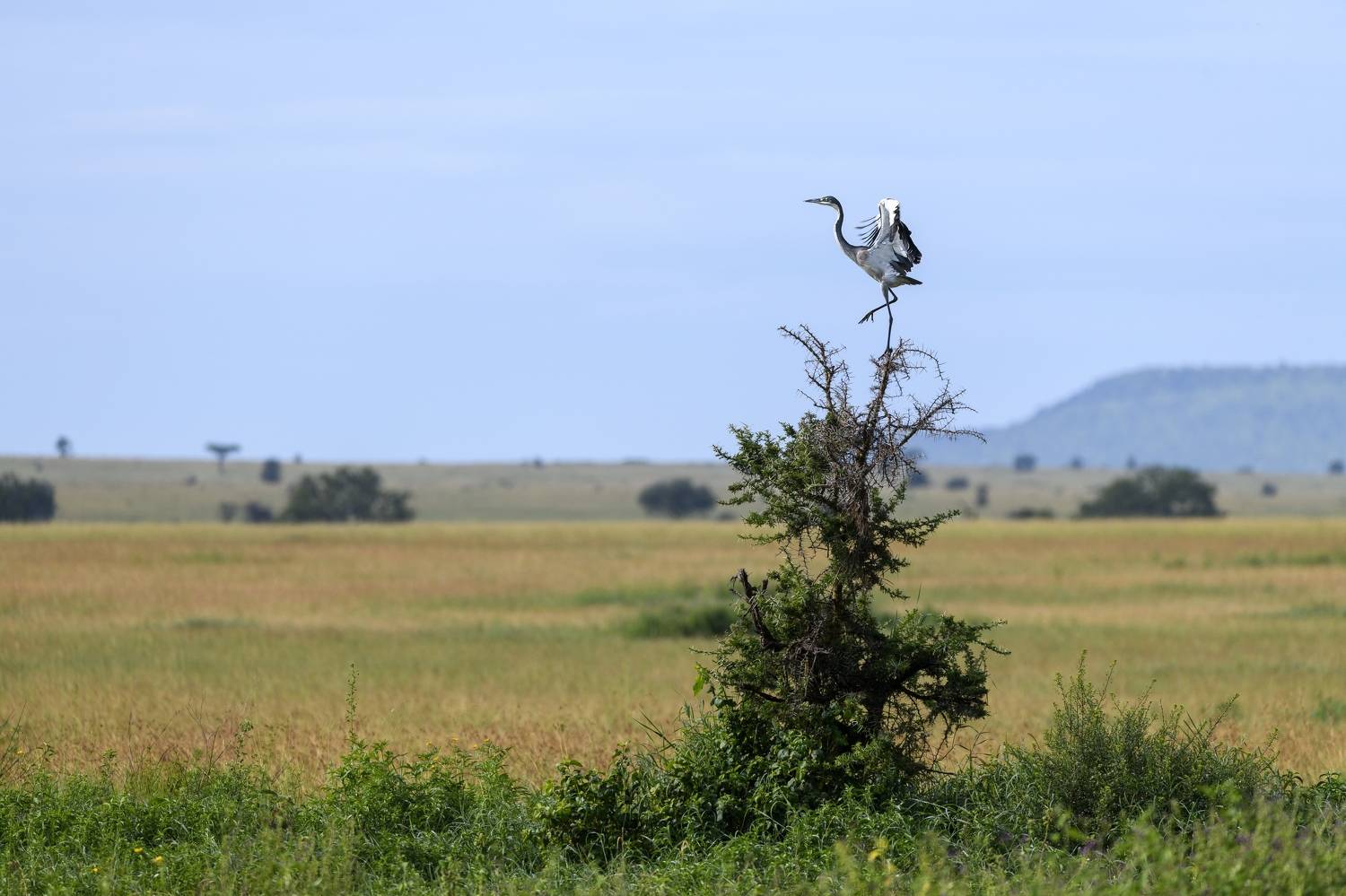 , Пупонин Сергей