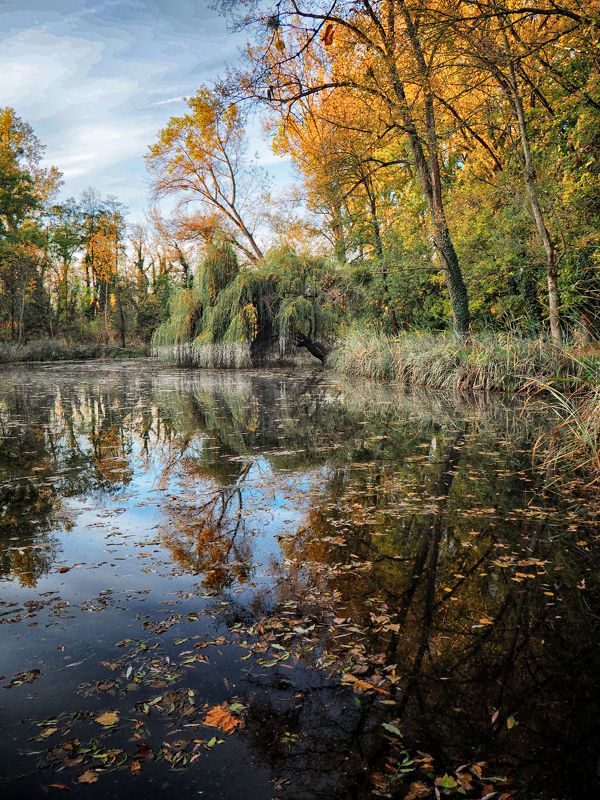 Autumn morning фото превью