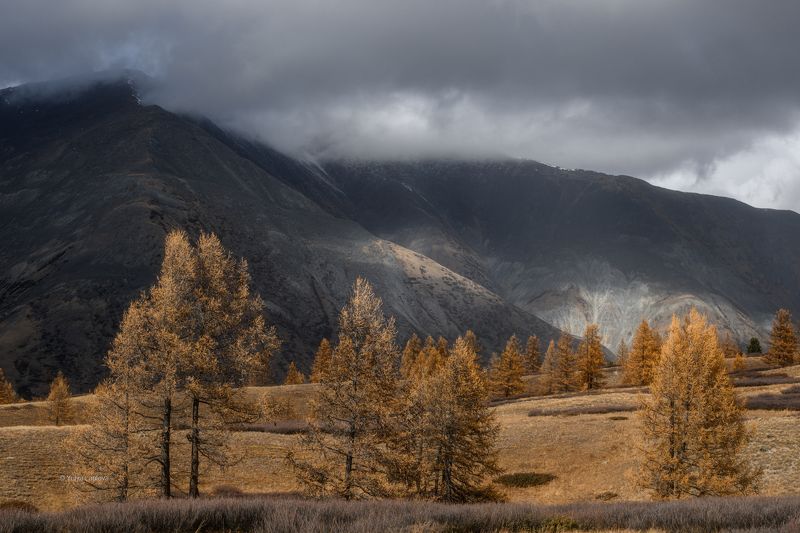 алтай, горный алтай, осень, октябрь \