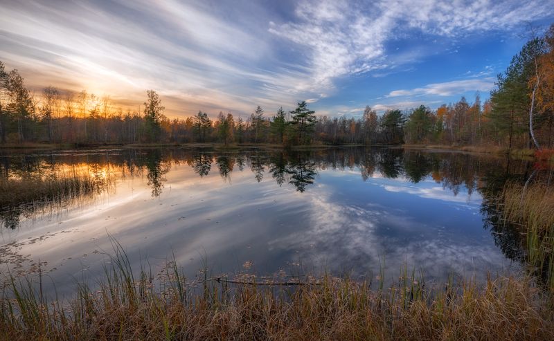 вечер сестрорецк озеро болото солнце небо лес закат отражение Осенний вечер фото превью