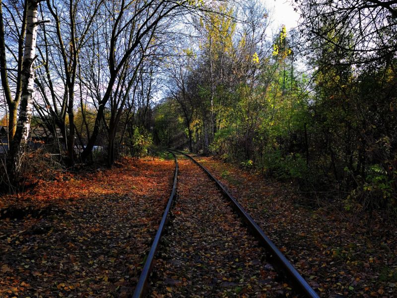 Дорога из лета в осень.. фото превью