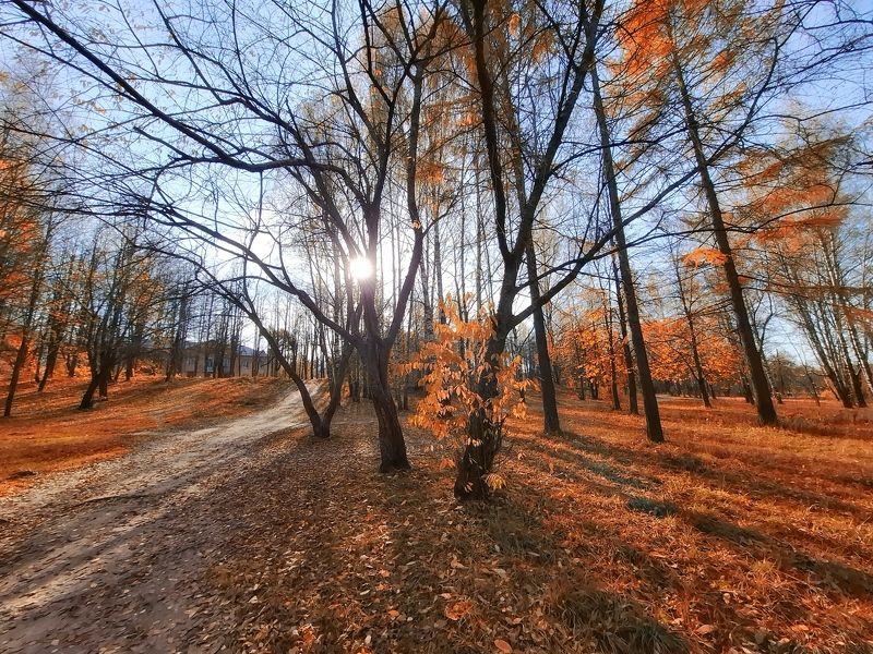 В обьятьях осени.... фото превью