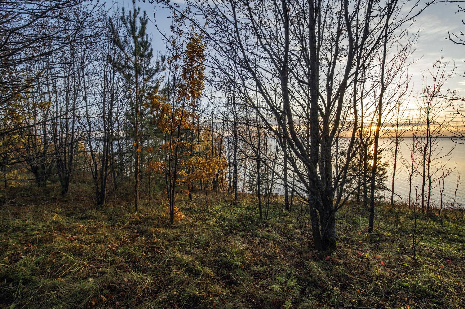 , Шитов Александр