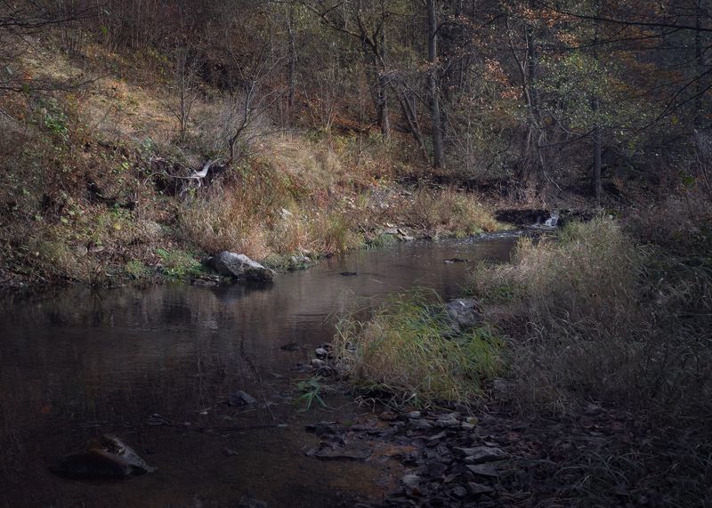 #пезаж #осень  фото превью