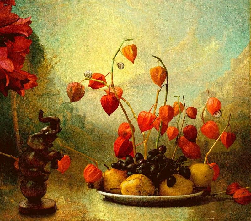 физалес  фрукты физалес и фрукты фото превью