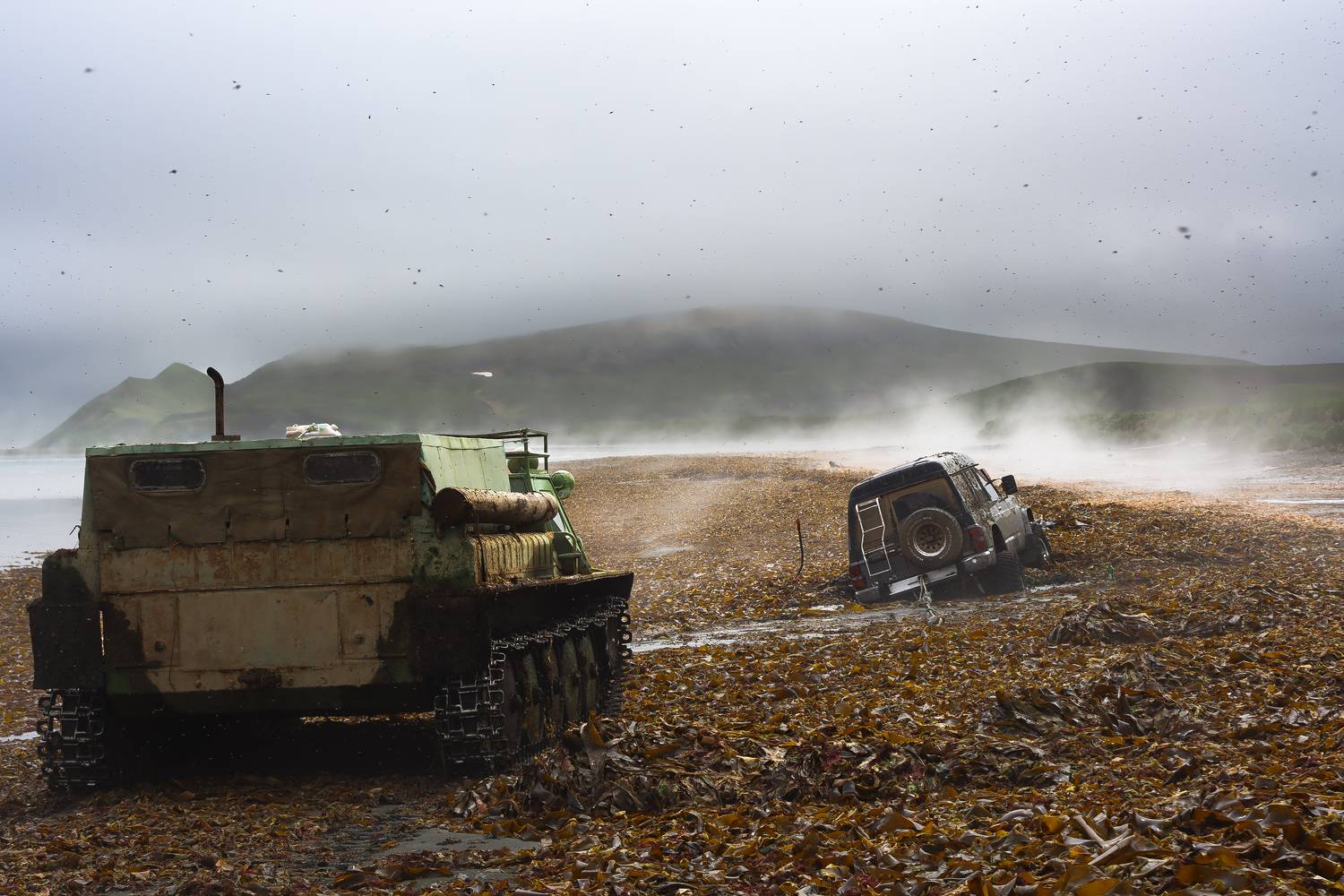 внедорожник, автомобиль, вездеход, морская капуста, ламинария, литораль, остров беринга, Уткин Дмитрий