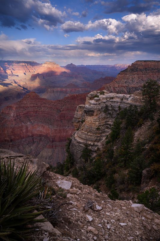 grand canyon, usa, arizona, The Grand Canyon of Arizona фото превью