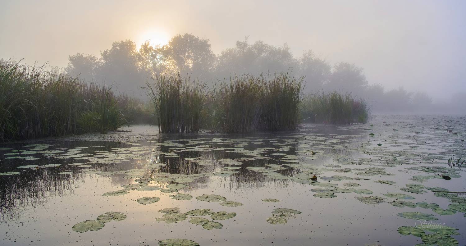 осень озеро рассвет туман пейзаж природа, Александр Строков