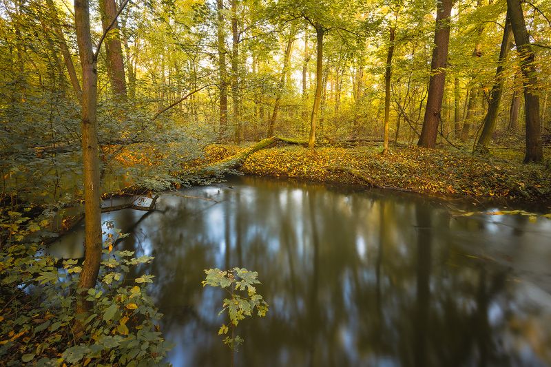 Autumn фото превью