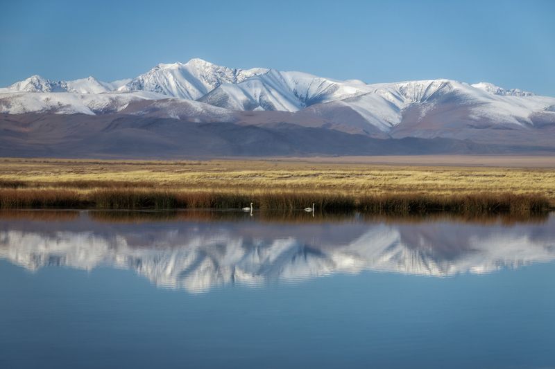 Алтай фото превью