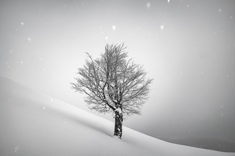 Soft blanket фото превью