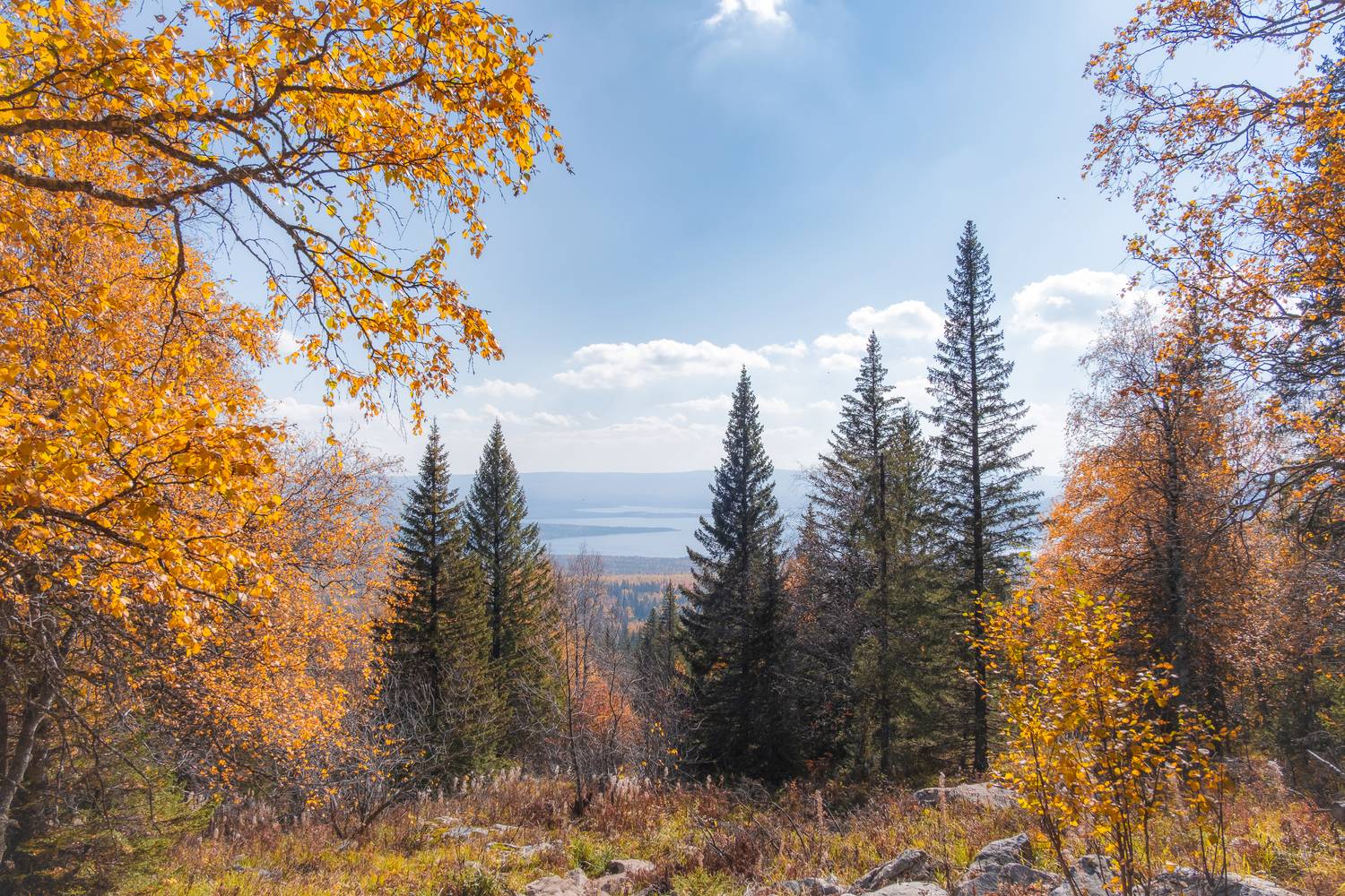 , Бодрягин Виталий