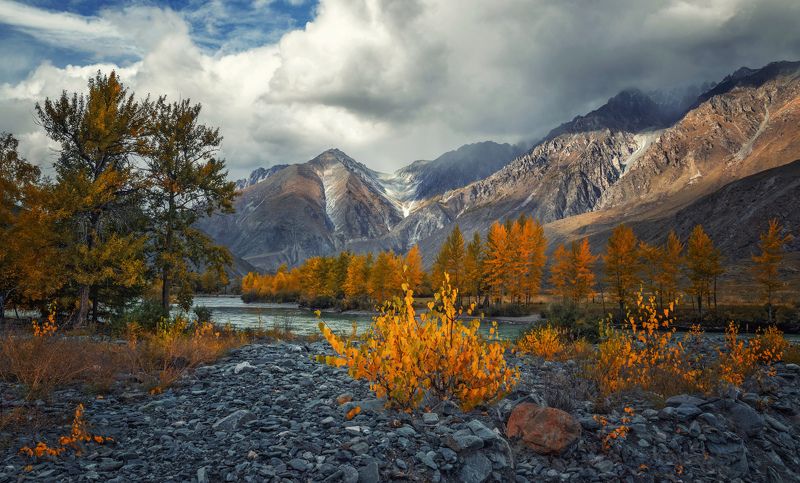 горный алтай,осень, река аргут,каменистое дно высохшего ручья,кустики карликовой берёзки Осенние костры... фото превью