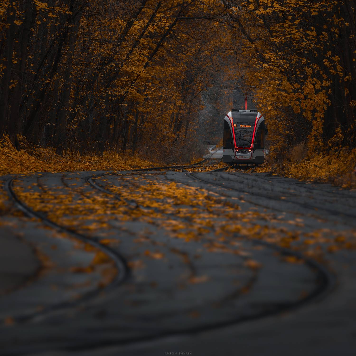 , Антон Шваин