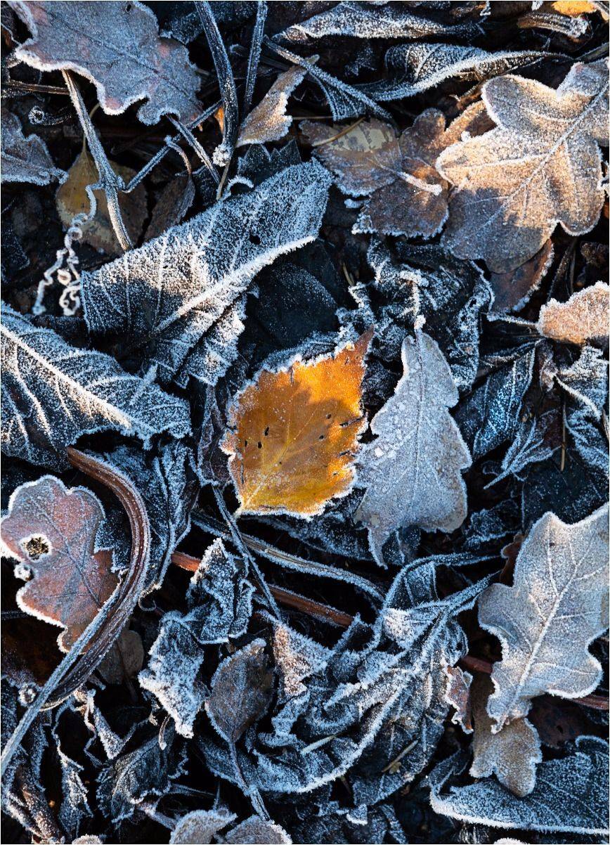 , Владимир Остапенко