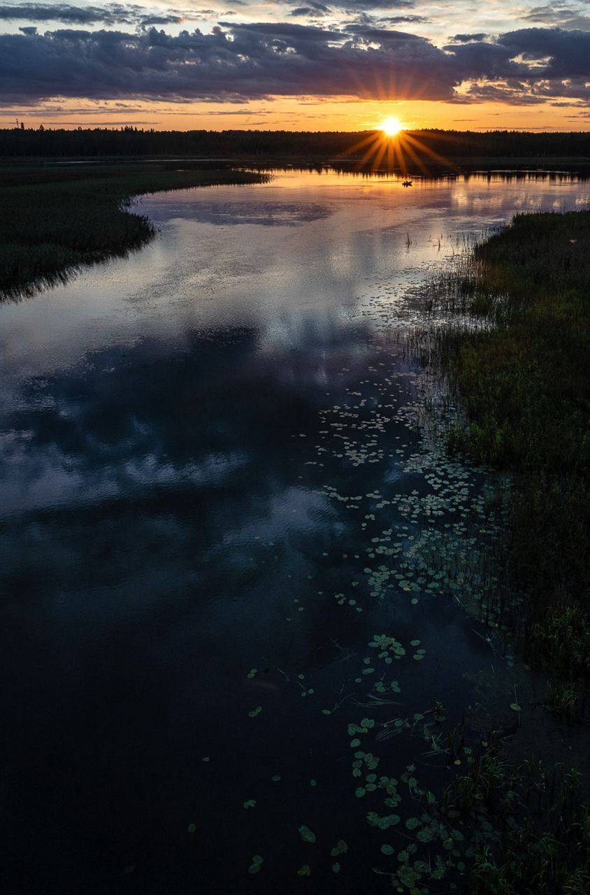 , Владимир Остапенко