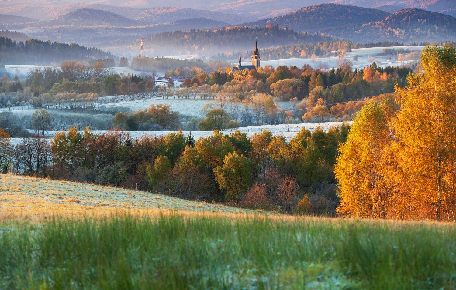 ,  Mirosław Pruchnicki