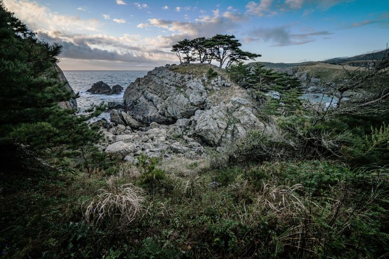 Россия, Приморский край, Японское море, полуостров Гамова, бухта Орлинка, Приморье,  В бухте Орлинка фото превью