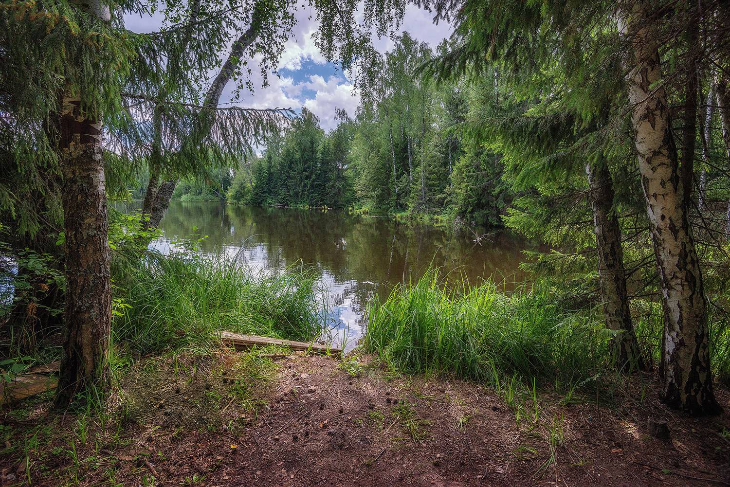 июнь, Сергей Аникин