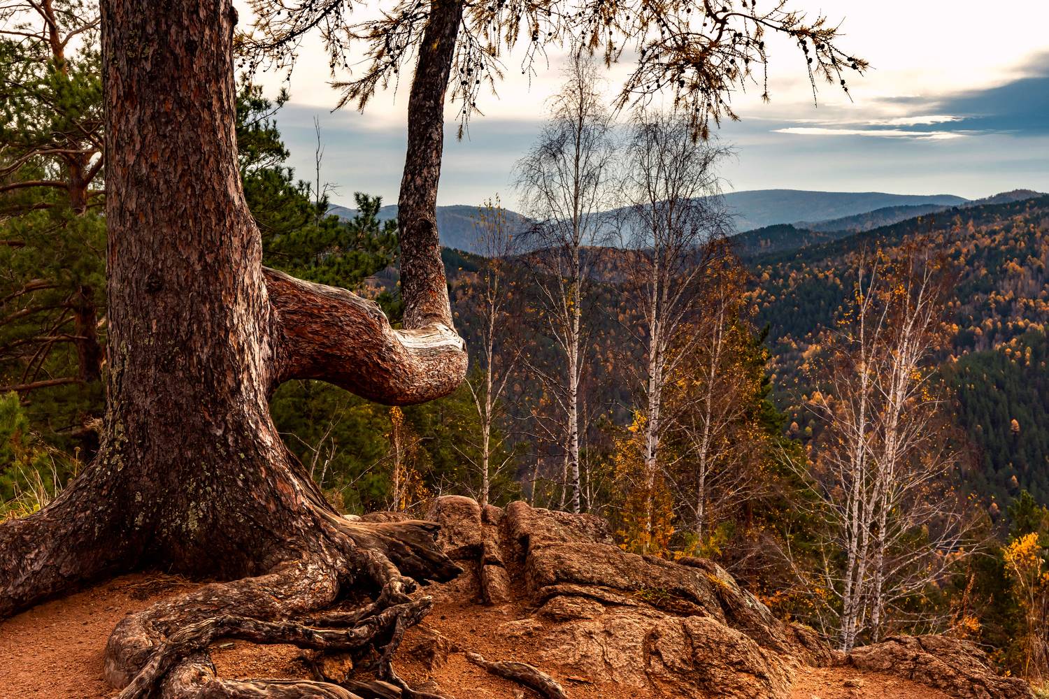 , Лапин Сергей