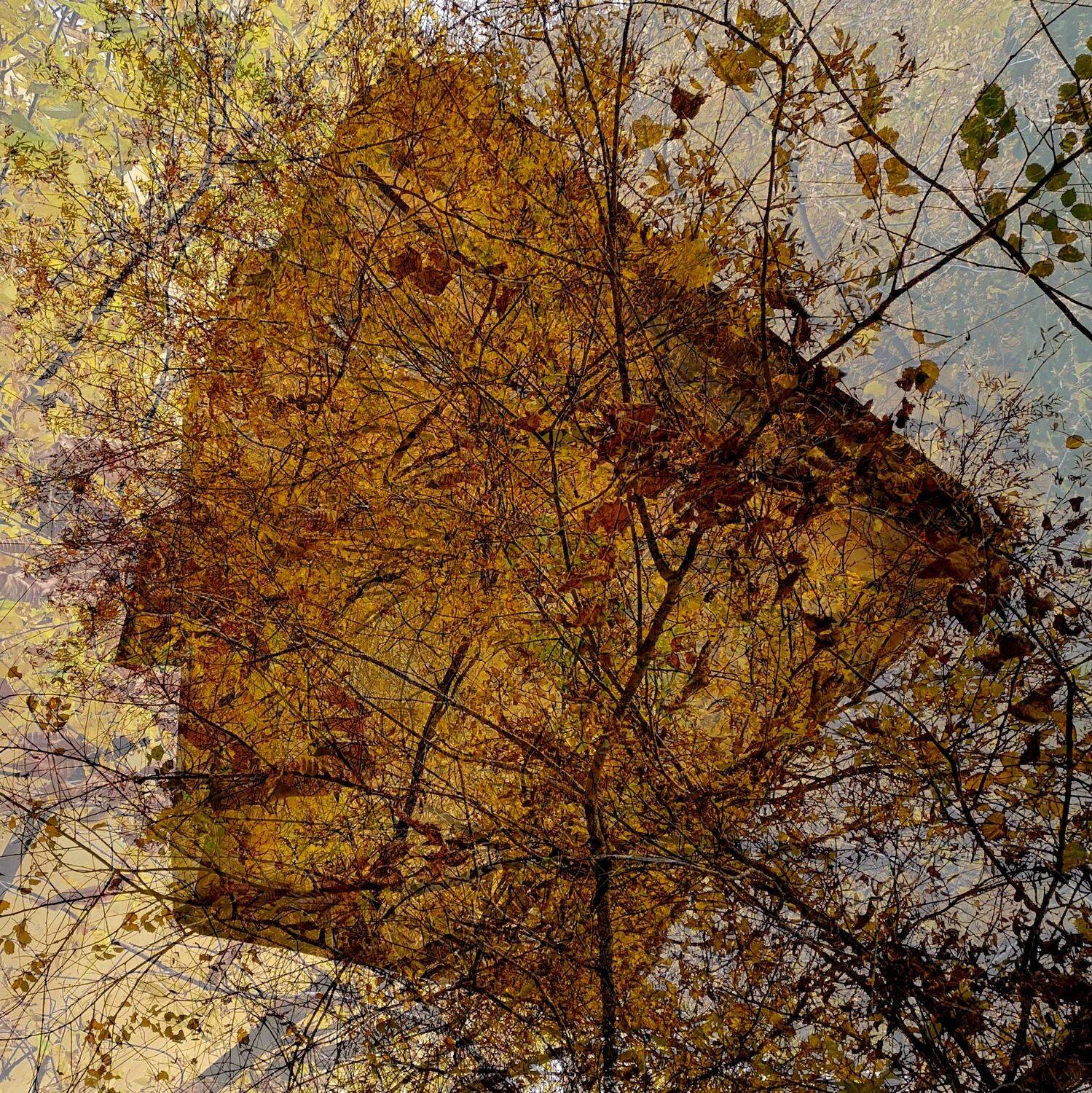 , Антон Лаба