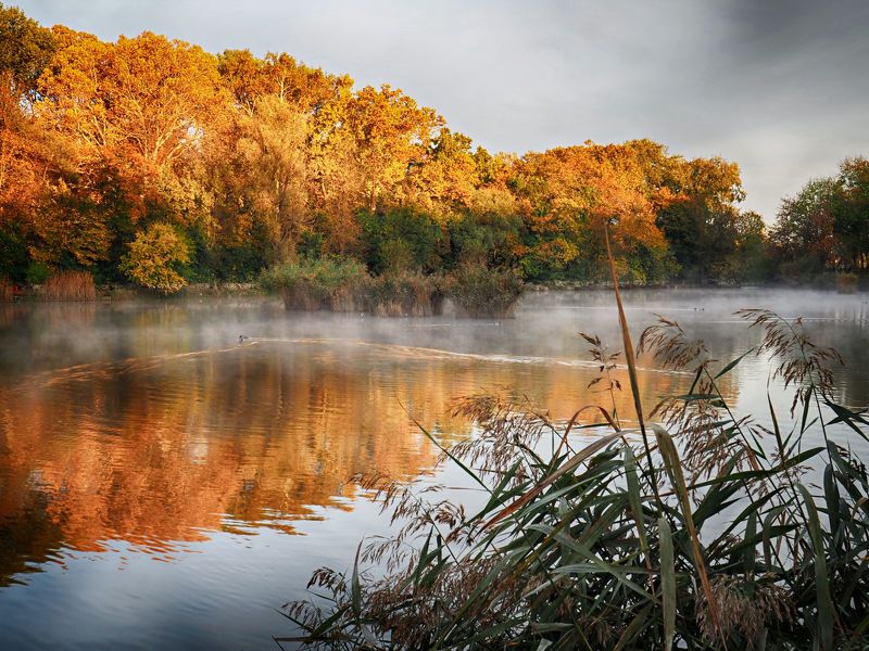 Foggy morning 4 фото превью