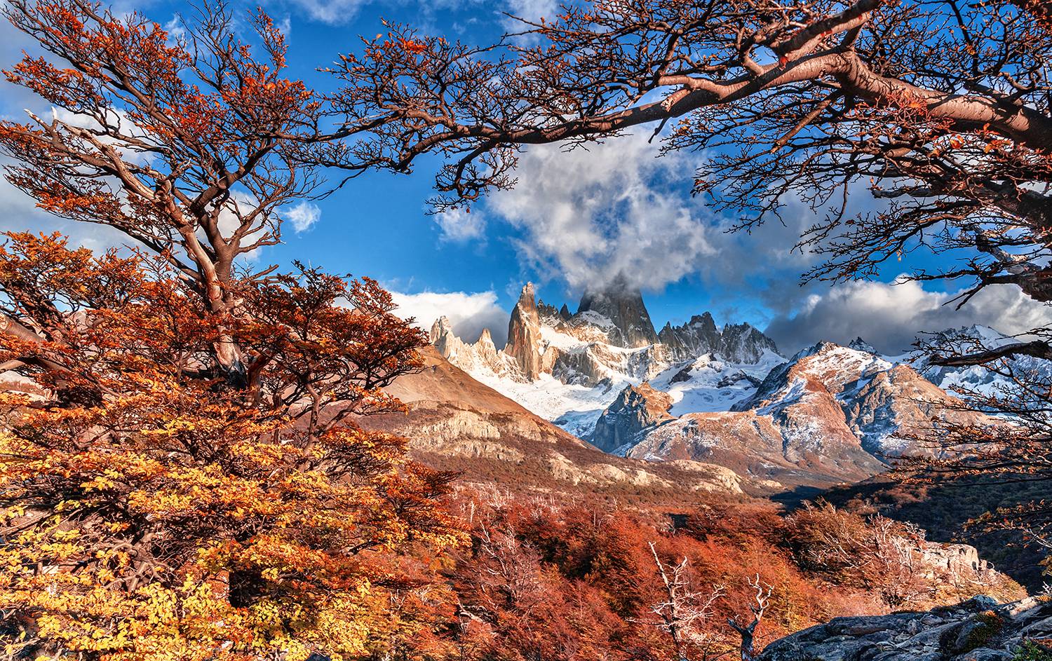 Аргентина, Патагония, Фицрой, горы, пик, пейзаж, Лариса Дука