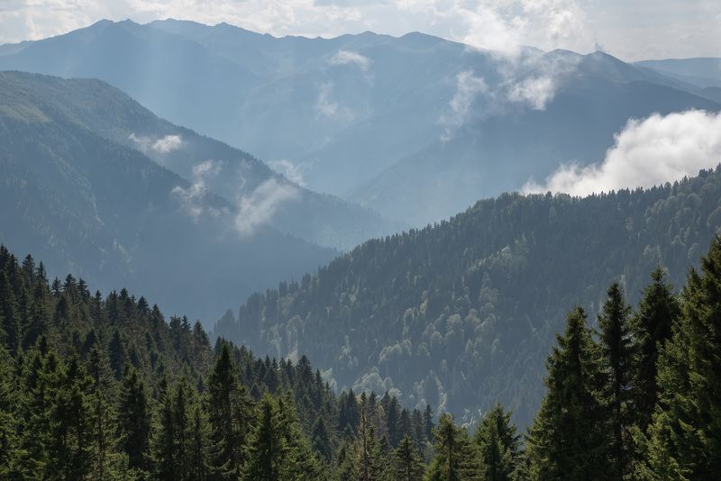 Градиенты фото превью