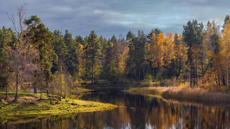 октябрь осень саврасово озеро краски вязниковский Октябрь. Саврасово фото превью