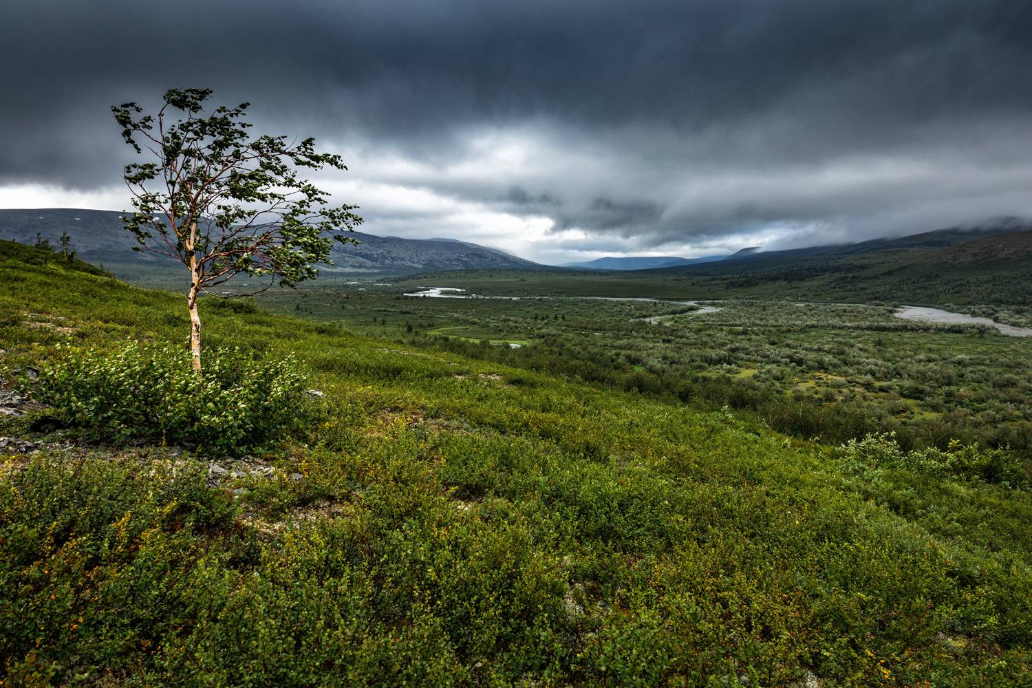, Евгений Кужилев