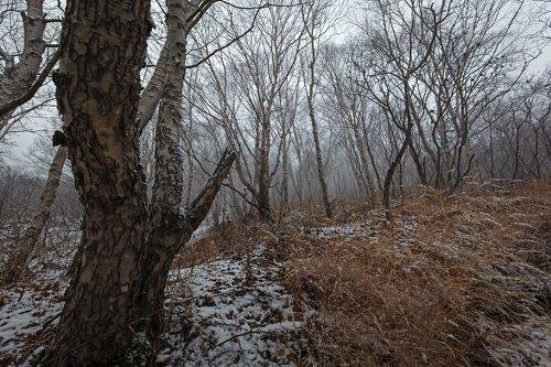 Осенний снег