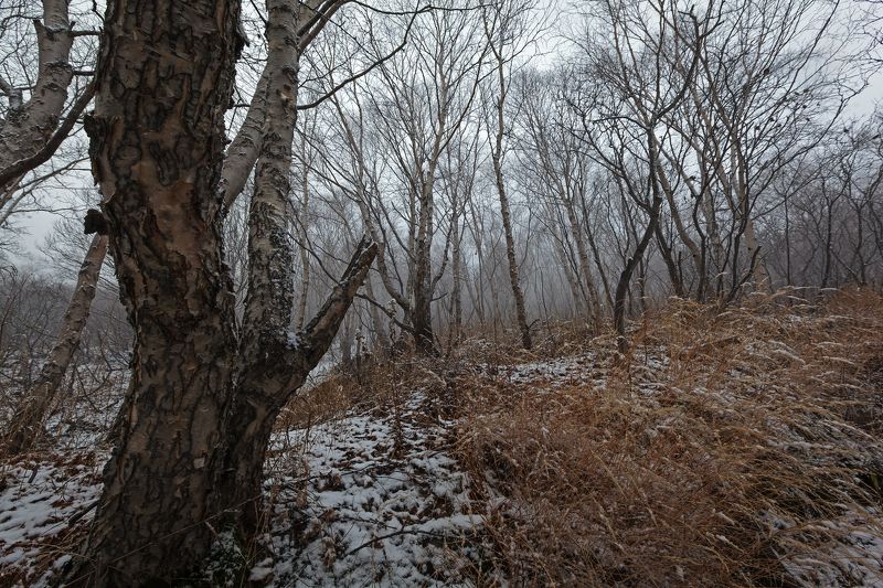 Осенний снег фото превью