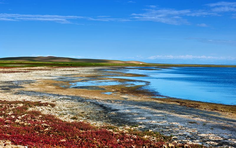 Монголия в цвете фото превью