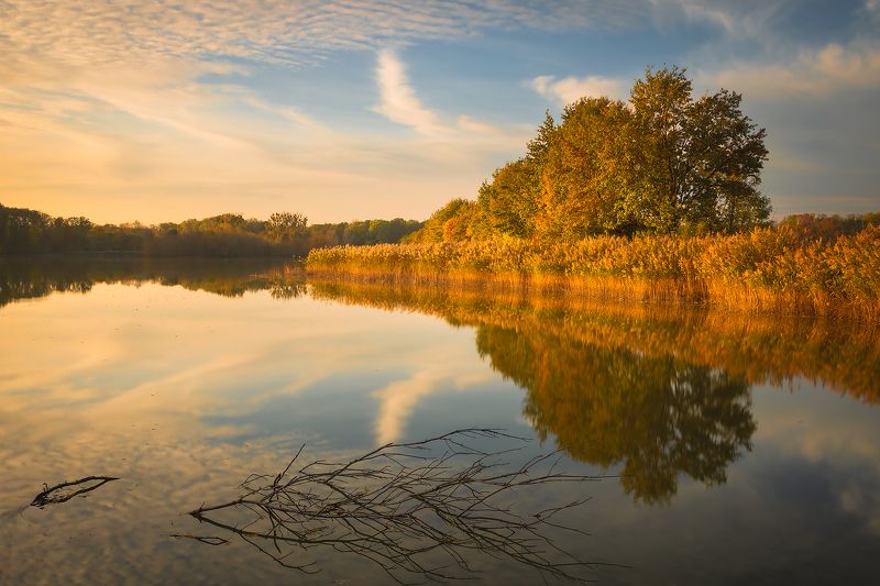 Autumn фото превью