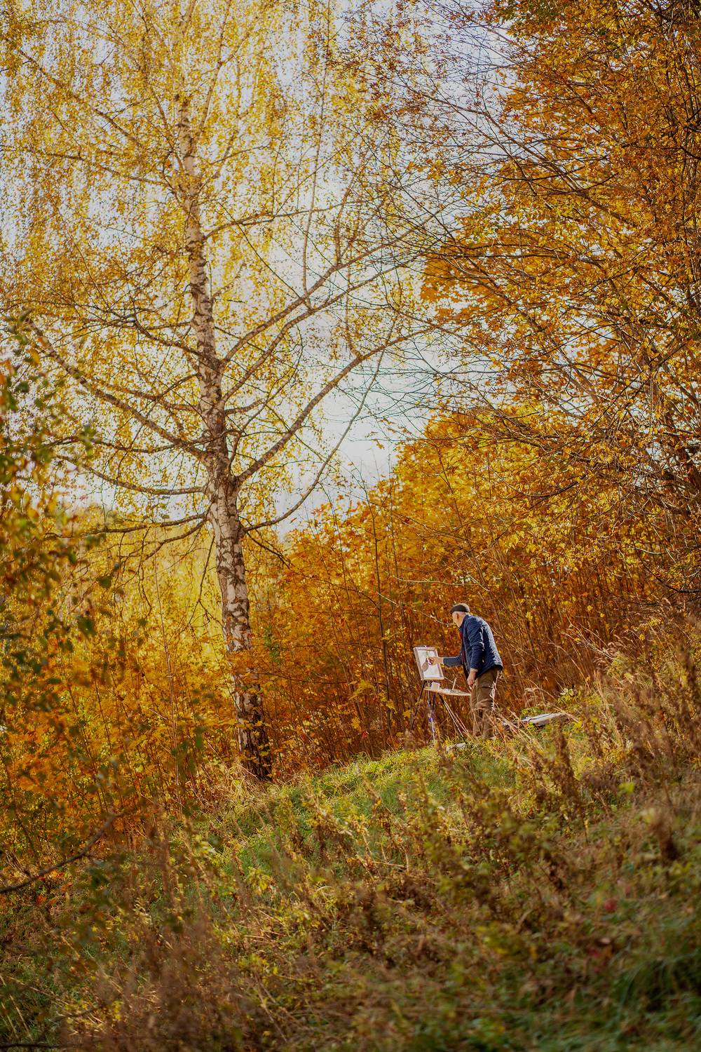 #landscape #autumn #пейзаж #осень, Мощенко Сергей