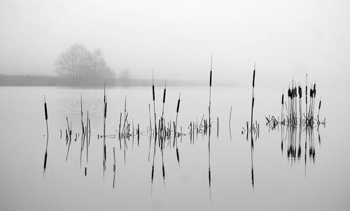 Музыка природы.