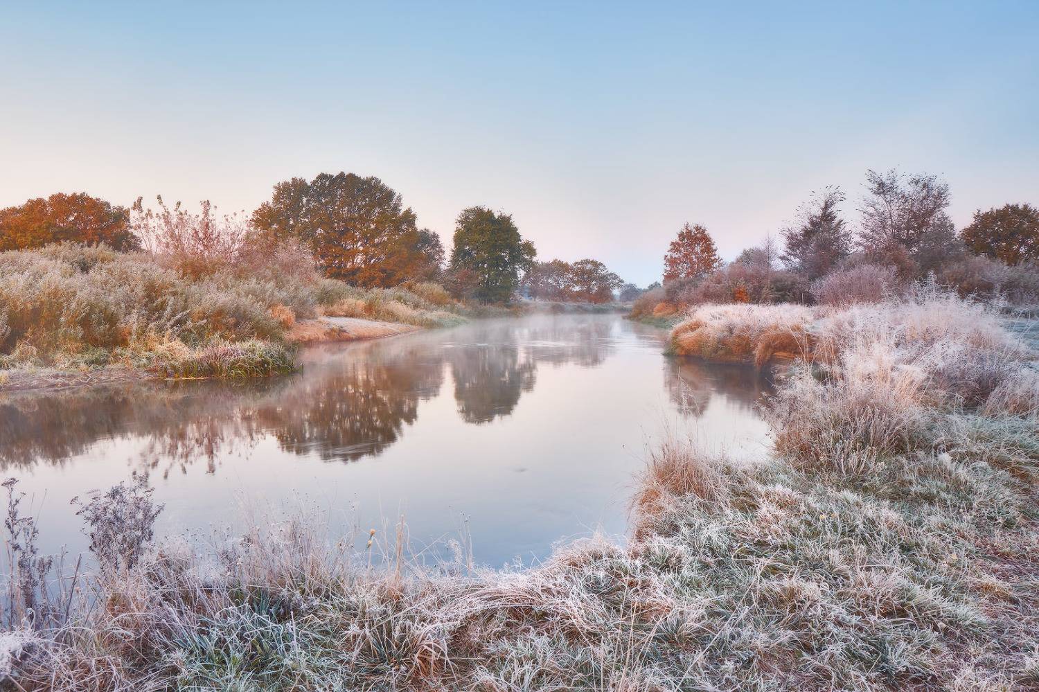беларусь, дубрава, дубы, иней, неман, октябрь, осень, рассвет, река, туман, утро, Вейзе Максим