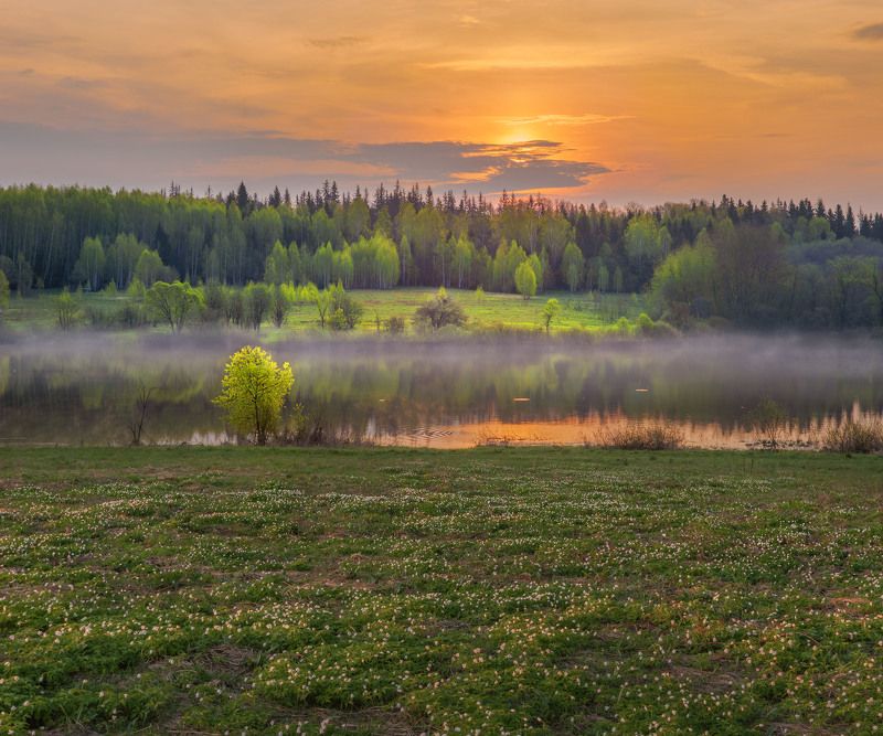 Подмлсковье весной.... фото превью