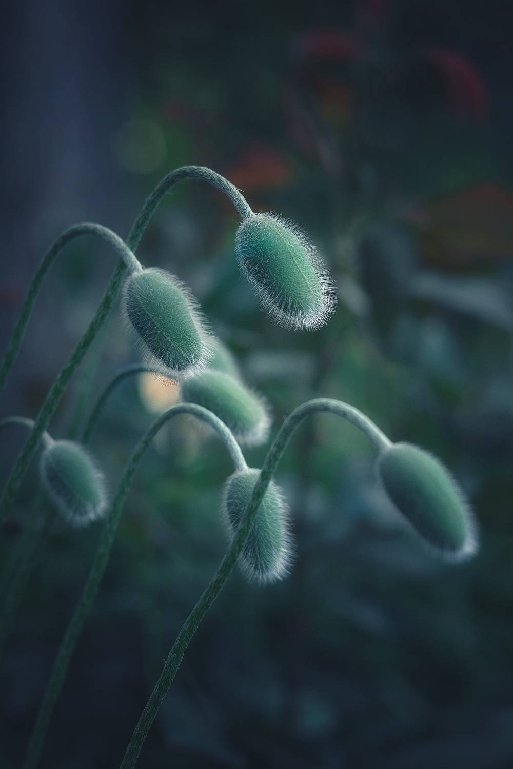 , Юлияна Стоянова