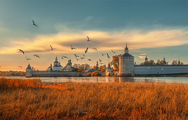 Птицы над городом фото превью