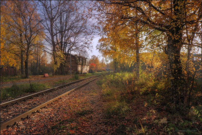 Осенняя железная дорога. фото превью
