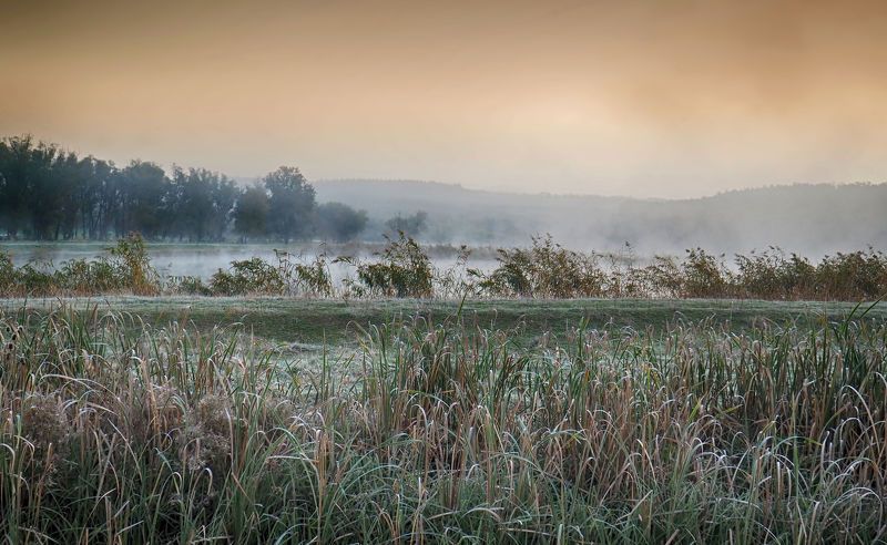 Foggy morning 20 фото превью