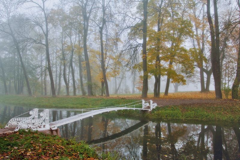 Октябрь фото превью