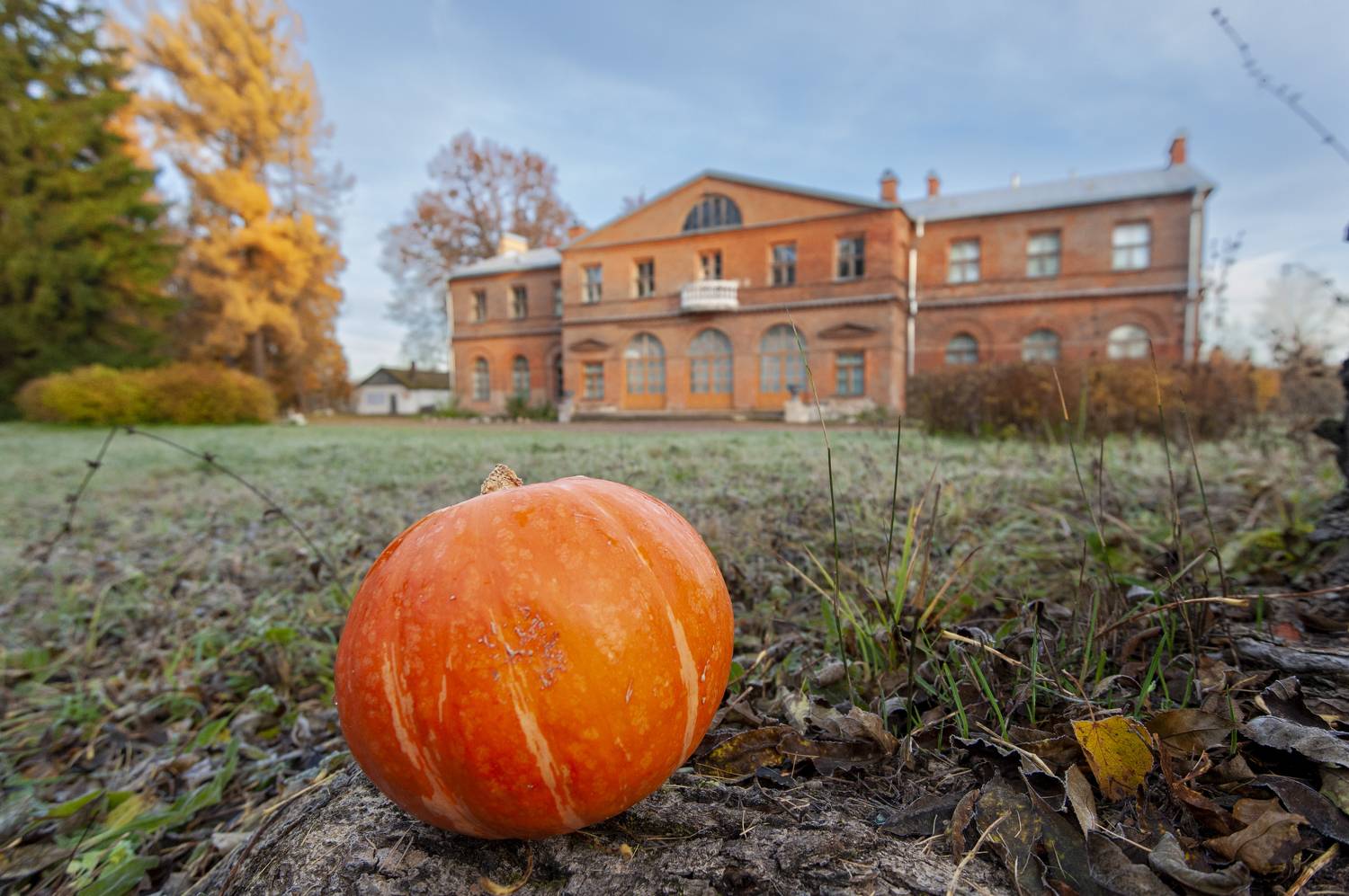 , Георгий Сапожников