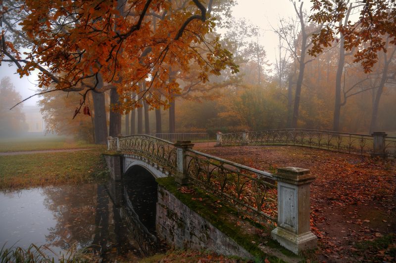 осень в парке... фото превью