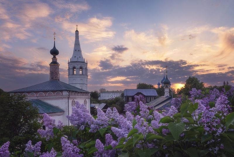 Сиреневый Суздаль фото превью